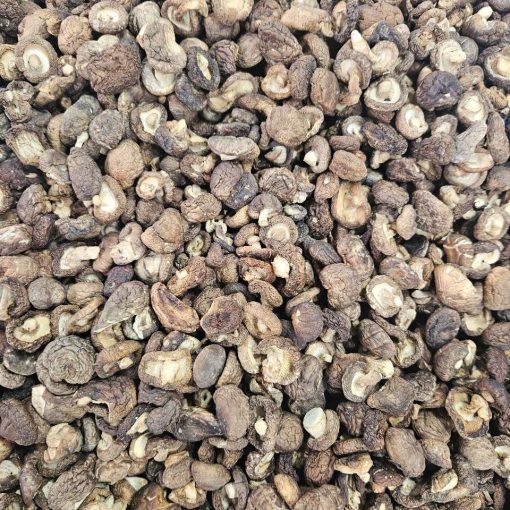 Nấm Hương Rừng