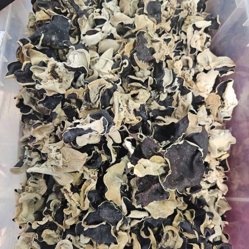 Mộc Nhĩ Đen Sapa